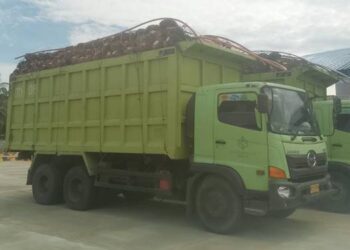 Truck bermuatan sawit diduga melakukan pelanggaran Over Dimensi dan Over Load (ODOL) yang dikhawatirkan menyebabkan kecelakaan lalu lintas.