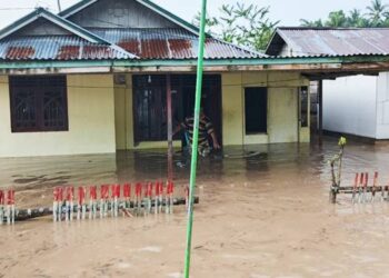 Kondisi Rumah Warga di Desa Olimohulo Kecamatan Asparaga terendam banjir dengan ketinggian air sampai di lutut hingga pinggang orang dewasa, selasa (19/5/2026).