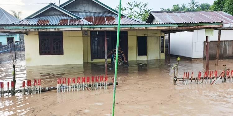 Kondisi Rumah Warga di Desa Olimohulo Kecamatan Asparaga terendam banjir dengan ketinggian air sampai di lutut hingga pinggang orang dewasa, selasa (19/5/2026).