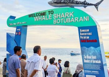TERUS RAMAI: Para wisatawan saat mengunjungi lokasi wisata hiu paus, di pantai Botubarani, Gorontalo. Jumlah wisatawan baik domestik mau pun mancanegar terus meningkat. (foto: aviva/mg/ gorontalo post)