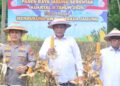 TARGET SWASEMBADA - Panen Raya jagung dilaksanakan di Desa Molintogupo, Kecamatan Suwawa Selatan, Bone Bolango, Sabtu (16/5). (Foto : Dok-Pemprov/Bahrian)