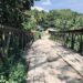 Pak Bupati, Kapan Jembatan Bulota Diperbaiki ?