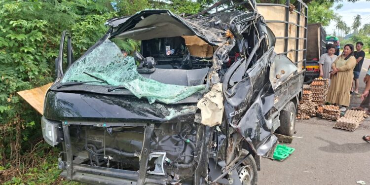 Pikap Hantam Pohon Satu Penumpang Tewas, Telur ‘Taambor’