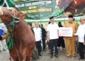 Presiden Sumbang Sapi Kurban untuk Gorontalo, Bobotnya 1.130 Kg dari Peternak Lokal