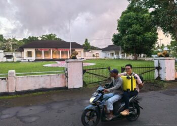 Masuk Istana