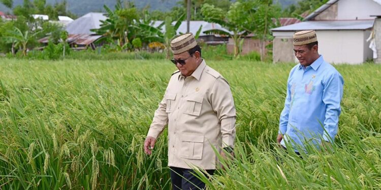 Tinjau Teknologi Pertanian di Arena PENAS XVII, Prabowo Optimis Indonesia Lumbung Pangan Dunia