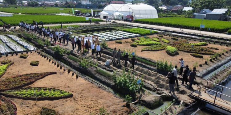 Eks Lokasi PENAS XVII Akan Dijadikan Destinasi Agrowisata Gorontalo