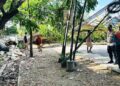 Sebuah pohon berukuran besar tumbang dan menutup akses Jalan Husin Bilondatu yang menghubungkan Desa Mongolato dan Desa Bulila, Kecamatan Telaga, Kabupaten Gorontalo, Rabu (17/6/2026)