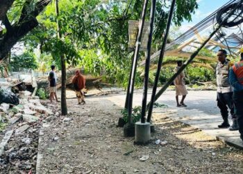 Sebuah pohon berukuran besar tumbang dan menutup akses Jalan Husin Bilondatu yang menghubungkan Desa Mongolato dan Desa Bulila, Kecamatan Telaga, Kabupaten Gorontalo, Rabu (17/6/2026)