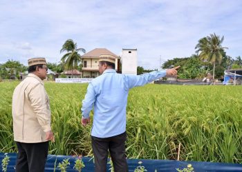 Hanya di Indonesia Polisi Urus Pertanian, Prabowo: Tentara ke Sawah, AL Tanam Kedelai, AU Tanam Tebu