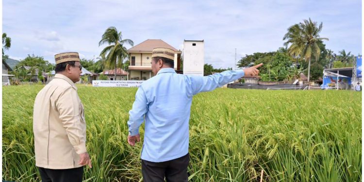 Hanya di Indonesia Polisi Urus Pertanian, Prabowo: Tentara ke Sawah, AL Tanam Kedelai, AU Tanam Tebu