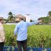 Hanya di Indonesia Polisi Urus Pertanian, Prabowo: Tentara ke Sawah, AL Tanam Kedelai, AU Tanam Tebu