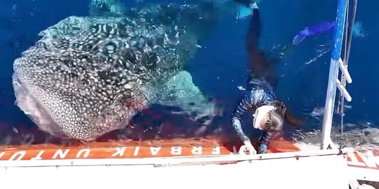 Kunjangan ke Gorontalo, Gubernur Sherly Langsung Temui ‘Sherli’ di Botubarani