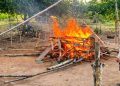 Arena Judi Sabung Ayam Dibakar