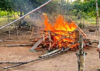 Arena Judi Sabung Ayam Dibakar