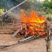 Arena Judi Sabung Ayam Dibakar