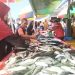 Cuaca Ekstrem Warga Menjerit Pasokan Ikan Minim