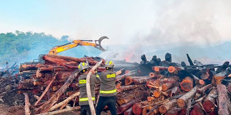 Perusahaan Kayu di Monano Ludes Terbakar