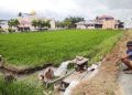 Kemarau Panjang Ancam Pertanian, Petani Andalkan Pompa Air, Biaya Membengkak