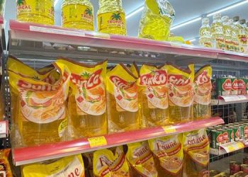 Harga Minyak Goreng Gorontalo Tertinggi, Diskumperindag Sebut Biaya Kontainer Jadi Pemicu