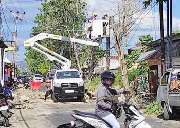 Angin Kencang, Waspada Pohon Tumbang
