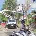 Angin Kencang, Waspada Pohon Tumbang