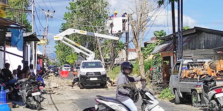 Angin Kencang, Waspada Pohon Tumbang
