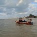 11 WNA dan Dua Awak Kapal Hilang di Teluk Tomini, Tim SAR Sisir Jalur Pelayanan