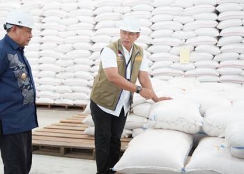 Tekan Harga Beras, Bulog Digelontor 12 Ribu Ton, Gubernur Instruksi Bulog Segera Menyalurkan