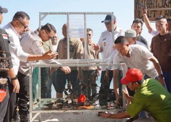 Gubernur Gusnar Ismail Lepasliarkan Burung dan Penyu di Pantai Bolihutuo, Boalemo
