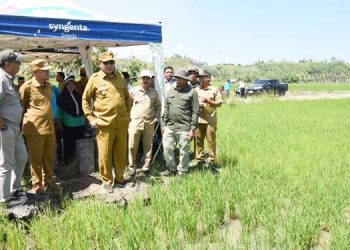 Gubernur Gorontalo Gusnar Ismail Meninjau Program Cetak Sawah Baru di Pohuwato