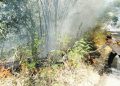 Kemarau Picu Kebakaran Lahan di Lombongo