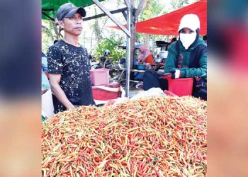 Gorontalo Deflasi 0,43 Persen, Dipicu Harga Barito Turun