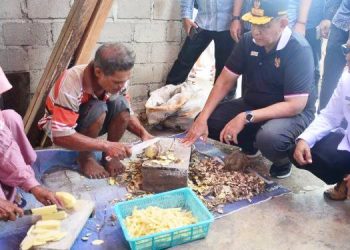 Ekonomi Gorontalo Ditarget Tumbuh 6,7 Persen, Pemprov: Kemiskinan Ditekan di Bawah 11 Persen