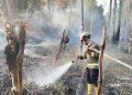 Karhutla Terus Terjadi di Wilayah Bone Bolango