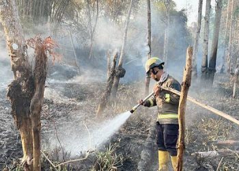 Karhutla Terus Terjadi di Wilayah Bone Bolango