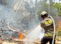 Kebakaran Semakin Tidak Terkendali, Dua Hari 11 Titik Lahan, Hutan hingga Rumah Warga Hangus