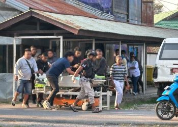 Brutal, Teroris KKB Tembak Mati Tiga ASN di Papua