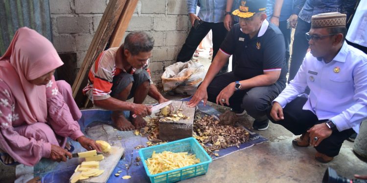 Bertahan dengan Bitule, Saat Kemarau Mengikis Cadangan Pangan