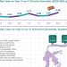 Inflasi Gorontalo Meroket Tertinggi Rata-rata Nasional, Mendagri Jewer Pemda!