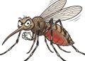 Gorontalo KLB Malaria, Tembus 6.299 Kasus, 18 Meninggal