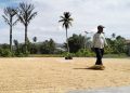 NTP Gorontalo Melonjak 10,89 Persen, Tertinggi di Indonesia Timur, Hortikultura Jadi Motor