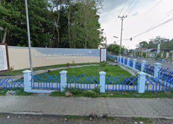 Direktur RS Ainun Turun Pangkat, BKD Ajukan Pemberhentian Jabatan ke BKN