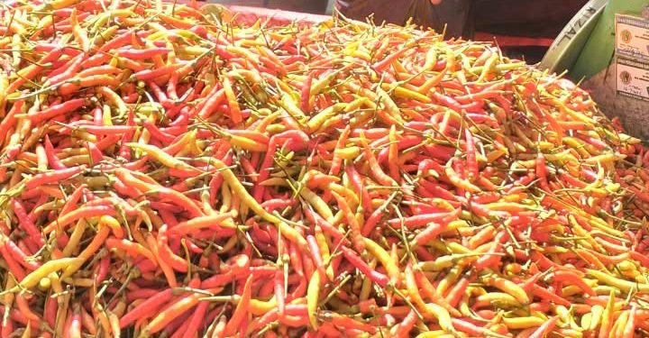 Lagi, Harga Rica Mahal jadi Penyebab Inflasi Gorontalo
