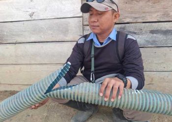 Penambang Ilegal Saripi Tebar Teror, Rusak Fasilitas Pabrik Gula, Karyawan Resah dan Ketakutan