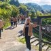 Camino Nakasendo